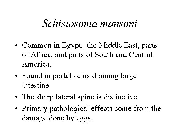 Schistosoma mansoni • Common in Egypt, the Middle East, parts of Africa, and parts Schistosoma mansoni • Common in Egypt, the Middle East, parts of Africa, and parts