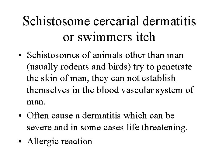 Schistosome cercarial dermatitis or swimmers itch • Schistosomes of animals other than man (usually Schistosome cercarial dermatitis or swimmers itch • Schistosomes of animals other than man (usually