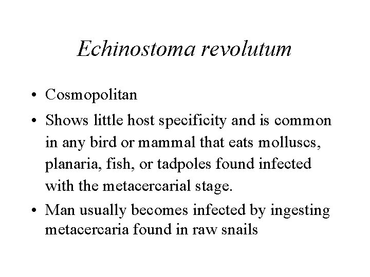 Echinostoma revolutum • Cosmopolitan • Shows little host specificity and is common in any Echinostoma revolutum • Cosmopolitan • Shows little host specificity and is common in any