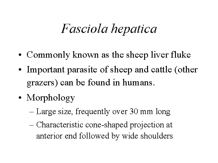 Fasciola hepatica • Commonly known as the sheep liver fluke • Important parasite of Fasciola hepatica • Commonly known as the sheep liver fluke • Important parasite of