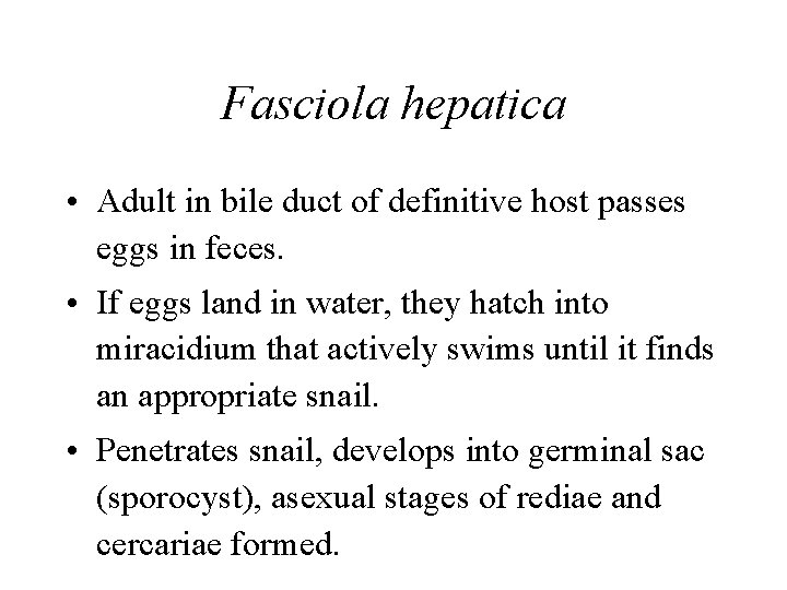 Fasciola hepatica • Adult in bile duct of definitive host passes eggs in feces. Fasciola hepatica • Adult in bile duct of definitive host passes eggs in feces.