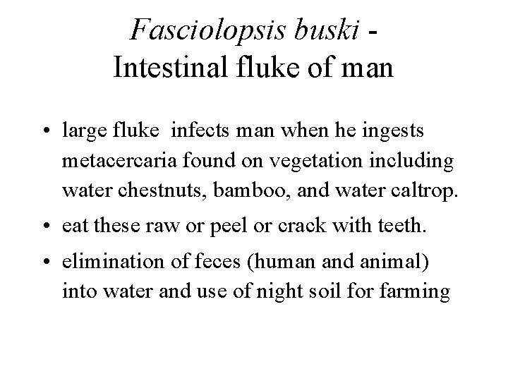 Fasciolopsis buski Intestinal fluke of man • large fluke infects man when he ingests Fasciolopsis buski Intestinal fluke of man • large fluke infects man when he ingests