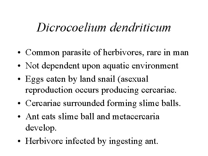 Dicrocoelium dendriticum • Common parasite of herbivores, rare in man • Not dependent upon Dicrocoelium dendriticum • Common parasite of herbivores, rare in man • Not dependent upon