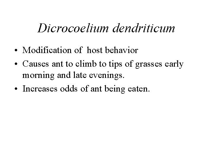Dicrocoelium dendriticum • Modification of host behavior • Causes ant to climb to tips Dicrocoelium dendriticum • Modification of host behavior • Causes ant to climb to tips