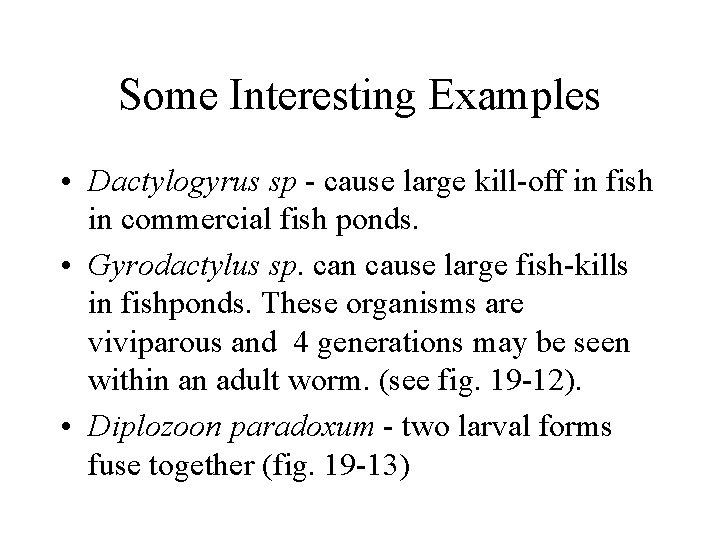 Some Interesting Examples • Dactylogyrus sp - cause large kill-off in fish in commercial Some Interesting Examples • Dactylogyrus sp - cause large kill-off in fish in commercial