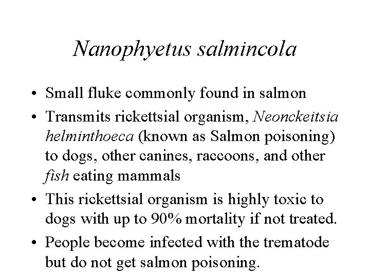Nanophyetus salmincola • Small fluke commonly found in salmon • Transmits rickettsial organism, Neonckeitsia Nanophyetus salmincola • Small fluke commonly found in salmon • Transmits rickettsial organism, Neonckeitsia