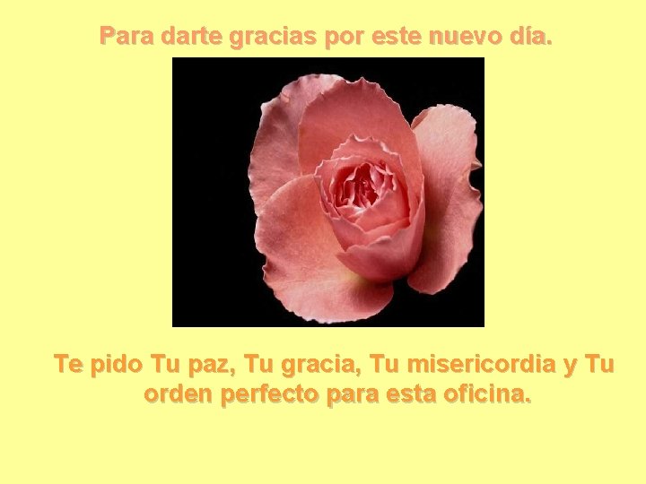 Para darte gracias por este nuevo día. Te pido Tu paz, Tu gracia, Tu Para darte gracias por este nuevo día. Te pido Tu paz, Tu gracia, Tu
