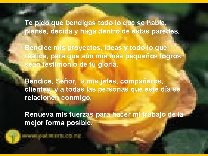 Te pido que bendigas todo lo que se hable, piense, decida y haga dentro Te pido que bendigas todo lo que se hable, piense, decida y haga dentro