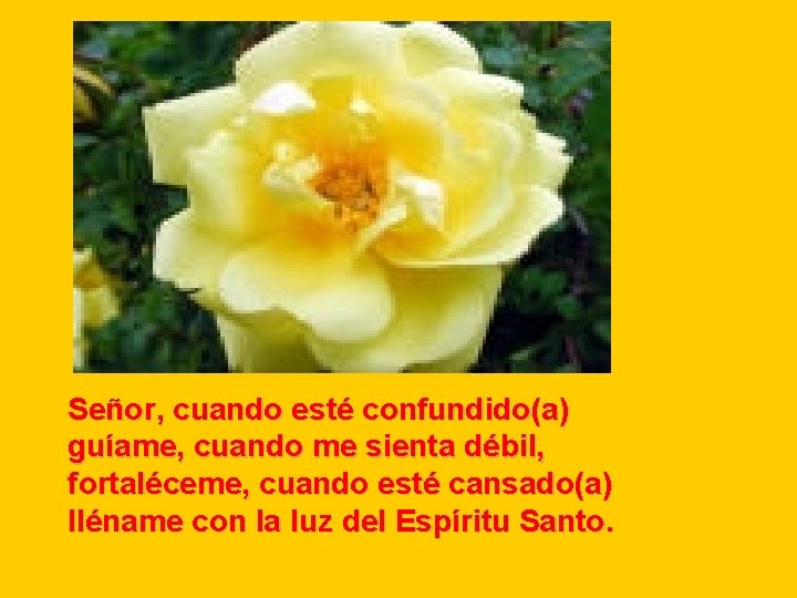 Señor, cuando esté confundido(a) guíame, cuando me sienta débil, fortaléceme, cuando esté cansado(a) lléname Señor, cuando esté confundido(a) guíame, cuando me sienta débil, fortaléceme, cuando esté cansado(a) lléname