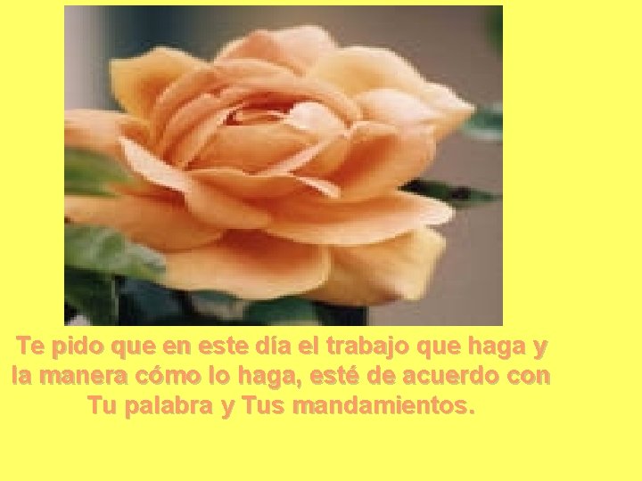 Te pido que en este día el trabajo que haga y la manera cómo Te pido que en este día el trabajo que haga y la manera cómo