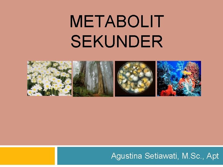 METABOLIT SEKUNDER Agustina Setiawati, M. Sc. , Apt 