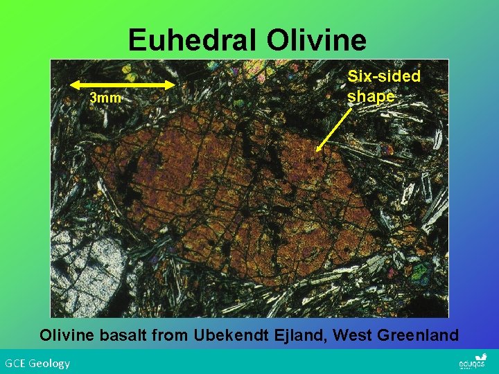 Euhedral Olivine 3 mm Six-sided shape Olivine basalt from Ubekendt Ejland, West Greenland GCE