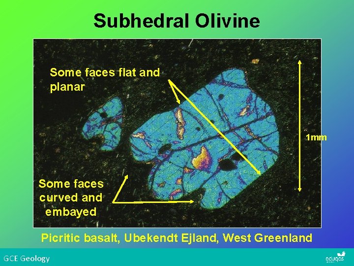 Subhedral Olivine Some faces flat and planar 1 mm Some faces curved and embayed
