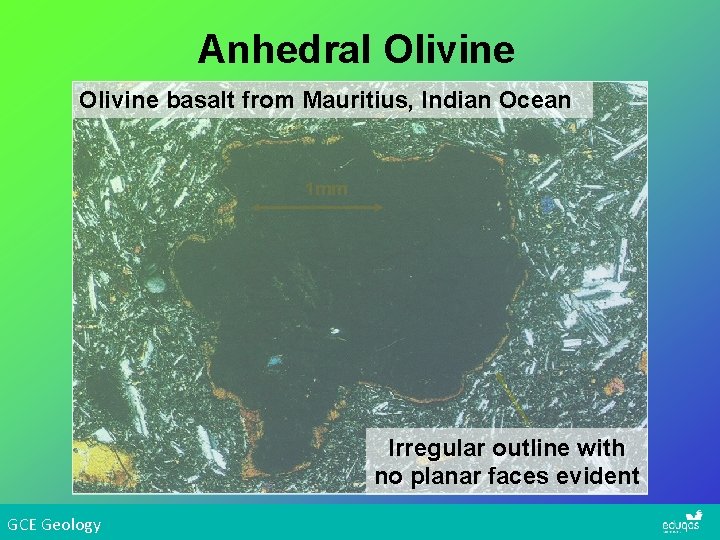 Anhedral Olivine basalt from Mauritius, Indian Ocean 1 mm Irregular outline with no planar