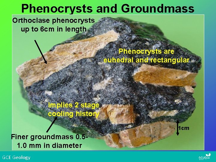 Phenocrysts and Groundmass Orthoclase phenocrysts up to 6 cm in length Phenocrysts are euhedral