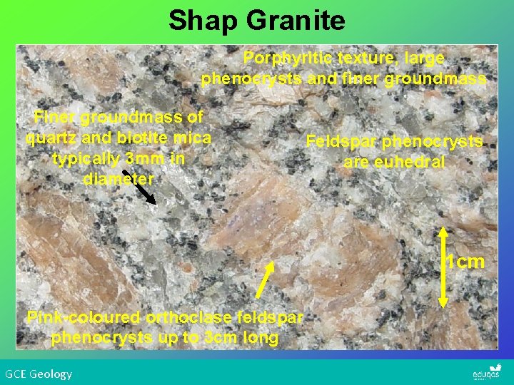 Shap Granite Porphyritic texture, large phenocrysts and finer groundmass Finer groundmass of quartz and