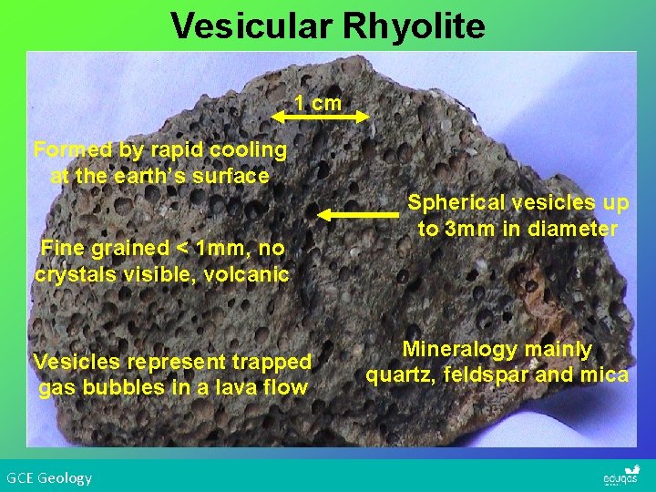 Vesicular Rhyolite 1 cm Formed by rapid cooling at the earth’s surface Fine grained