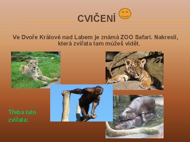 CVIČENÍ Ve Dvoře Králové nad Labem je známá ZOO Safari. Nakresli, která zvířata tam