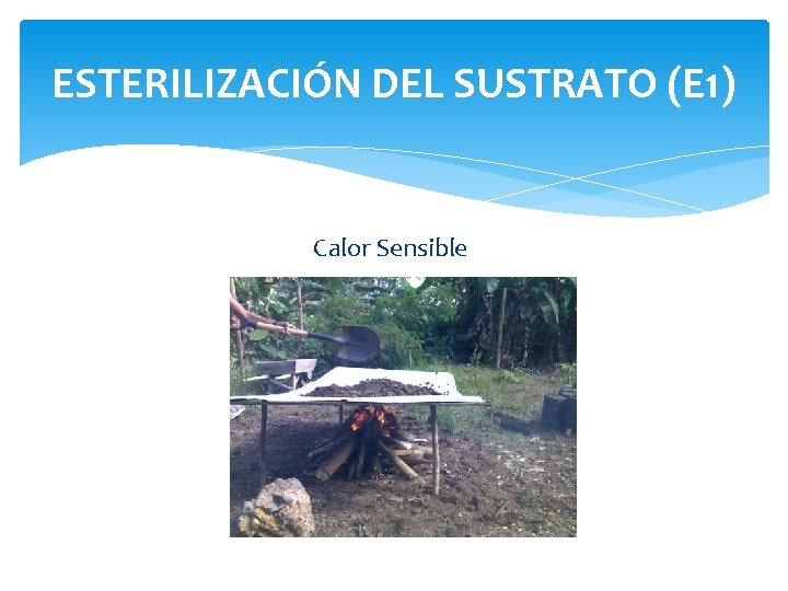 ESTERILIZACIÓN DEL SUSTRATO (E 1) Calor Sensible 
