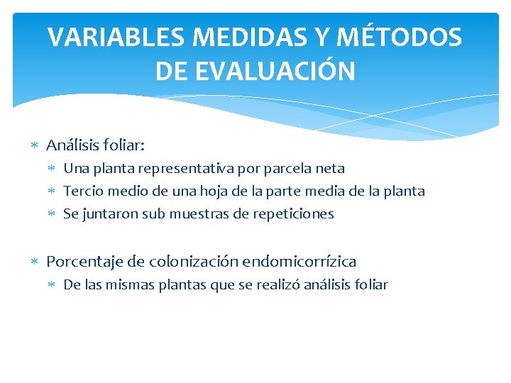 VARIABLES MEDIDAS Y MÉTODOS DE EVALUACIÓN Análisis foliar: Una planta representativa por parcela neta