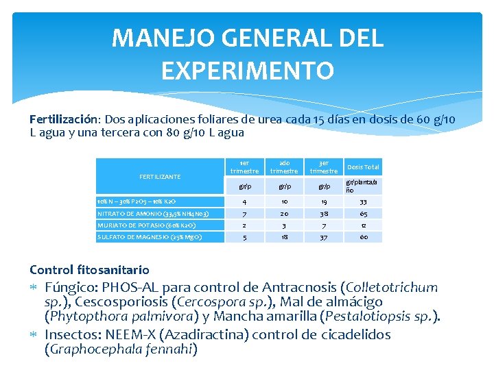 MANEJO GENERAL DEL EXPERIMENTO Fertilización: Dos aplicaciones foliares de urea cada 15 días en