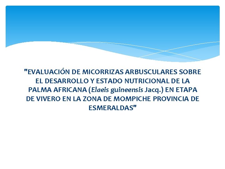 "EVALUACIÓN DE MICORRIZAS ARBUSCULARES SOBRE EL DESARROLLO Y ESTADO NUTRICIONAL DE LA PALMA AFRICANA