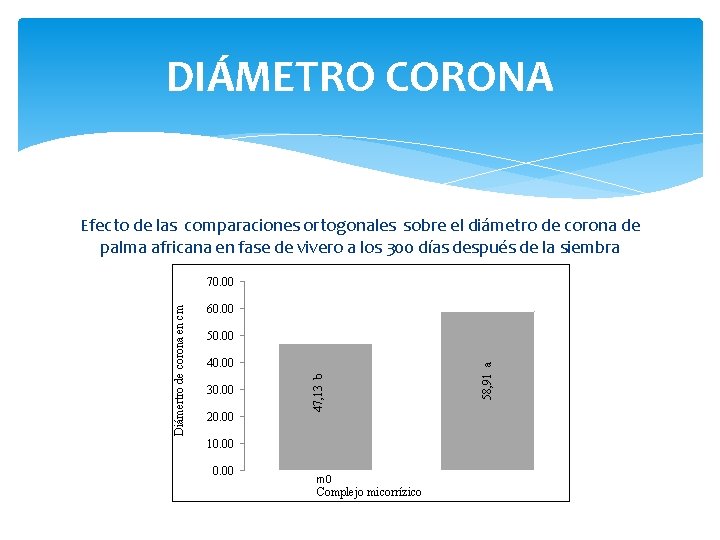 DIÁMETRO CORONA Efecto de las comparaciones ortogonales sobre el diámetro de corona de palma