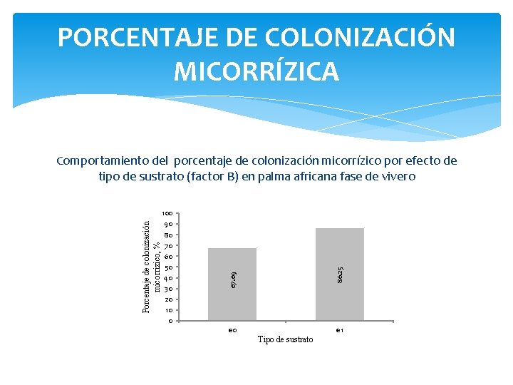 PORCENTAJE DE COLONIZACIÓN MICORRÍZICA Comportamiento del porcentaje de colonización micorrízico por efecto de tipo