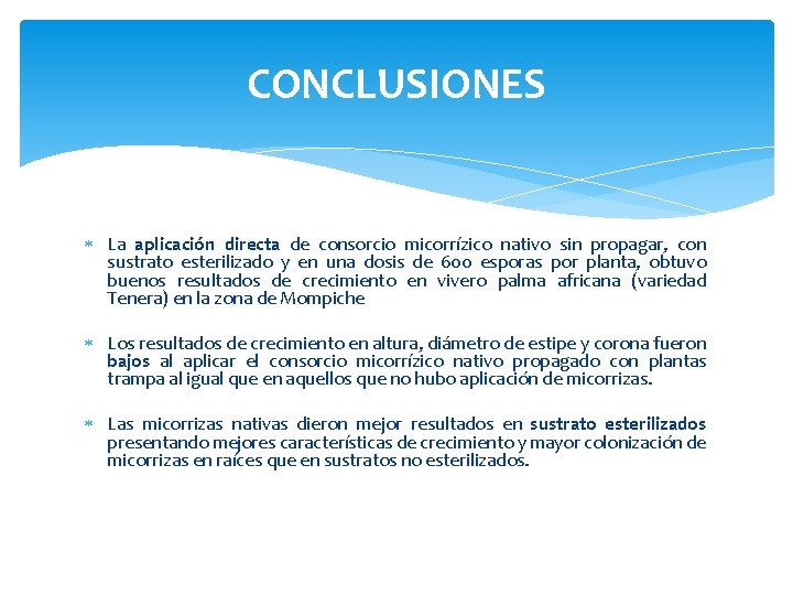 CONCLUSIONES La aplicación directa de consorcio micorrízico nativo sin propagar, con sustrato esterilizado y