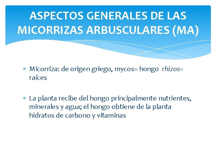 ASPECTOS GENERALES DE LAS MICORRIZAS ARBUSCULARES (MA) Micorriza: de origen griego, mycos= hongo rhizos=