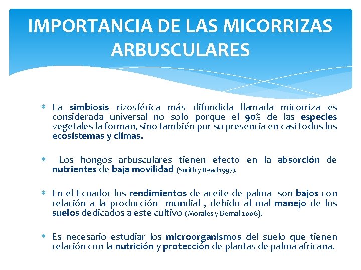 IMPORTANCIA DE LAS MICORRIZAS ARBUSCULARES La simbiosis rizosférica más difundida llamada micorriza es considerada