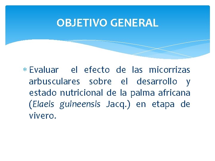 OBJETIVO GENERAL Evaluar el efecto de las micorrizas arbusculares sobre el desarrollo y estado