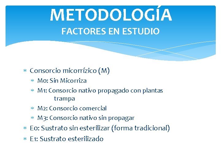 METODOLOGÍA FACTORES EN ESTUDIO Consorcio micorrízico (M) M 0: Sin Micorriza M 1: Consorcio