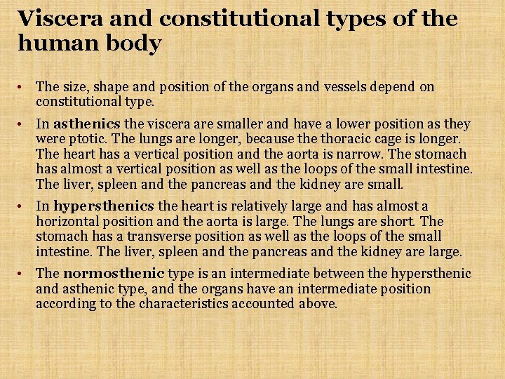 Viscera and constitutional types of the human body • The size, shape and position