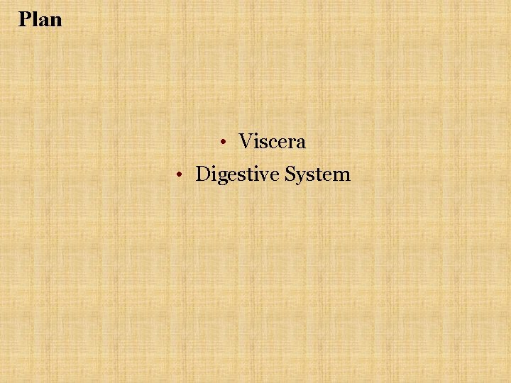 Plan • Viscera • Digestive System 
