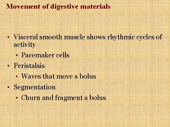 Movement of digestive materials • Visceral smooth muscle shows rhythmic cycles of activity •