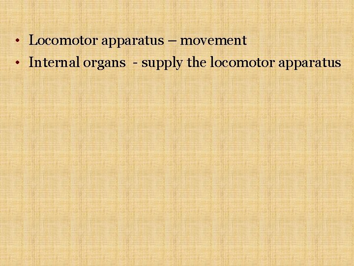  • Locomotor apparatus – movement • Internal organs - supply the locomotor apparatus