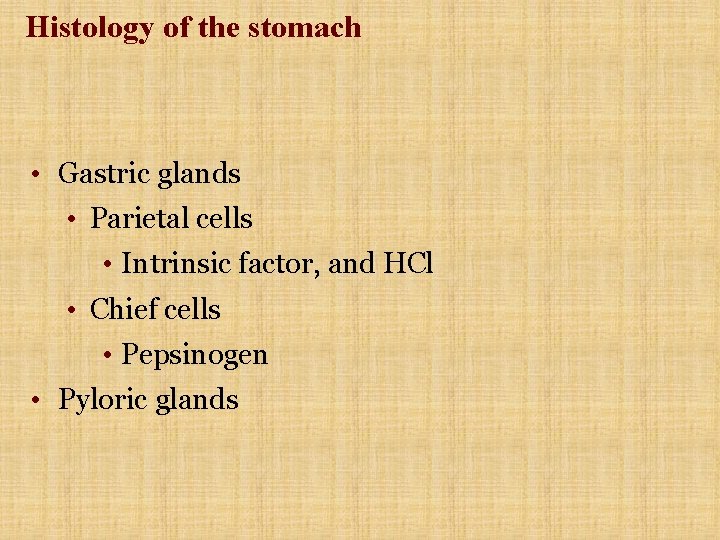 Histology of the stomach • Gastric glands • Parietal cells • Intrinsic factor, and