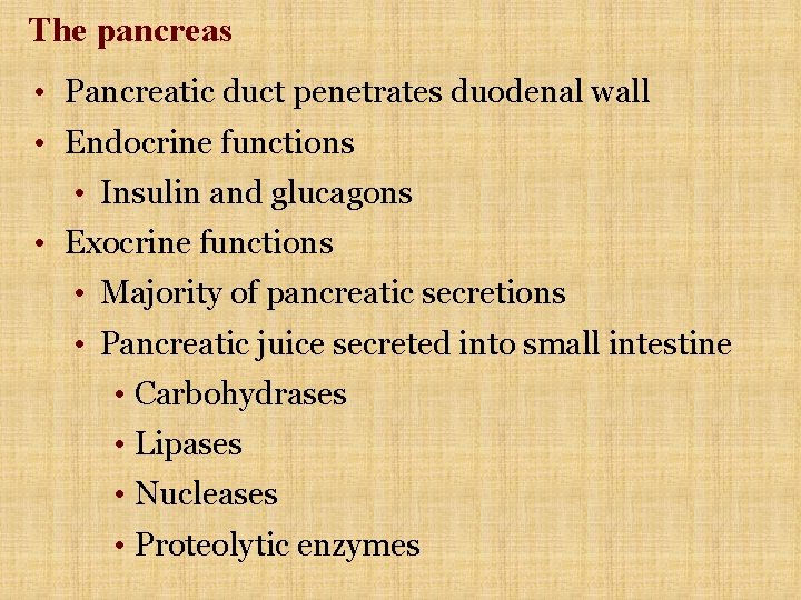 The pancreas • Pancreatic duct penetrates duodenal wall • Endocrine functions • Insulin and