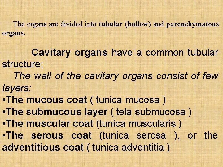 The organs are divided into tubular (hollow) and parenchymatous organs. Cavitary organs have a