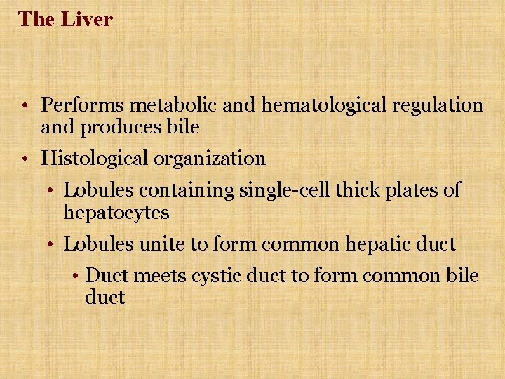 The Liver • Performs metabolic and hematological regulation and produces bile • Histological organization