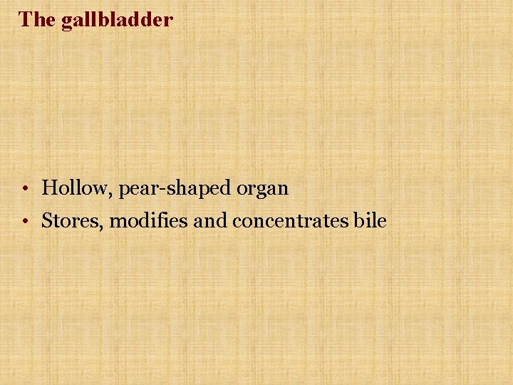 The gallbladder • Hollow, pear-shaped organ • Stores, modifies and concentrates bile 