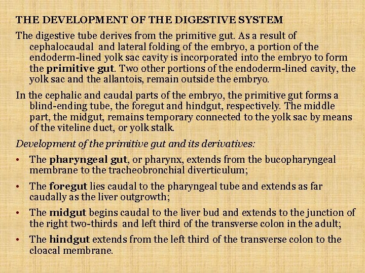 THE DEVELOPMENT OF THE DIGESTIVE SYSTEM The digestive tube derives from the primitive gut.