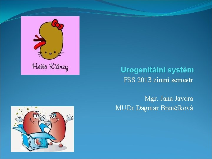 Urogenitální systém FSS 2013 zimní semestr Mgr. Jana Javora MUDr Dagmar Brančíková 