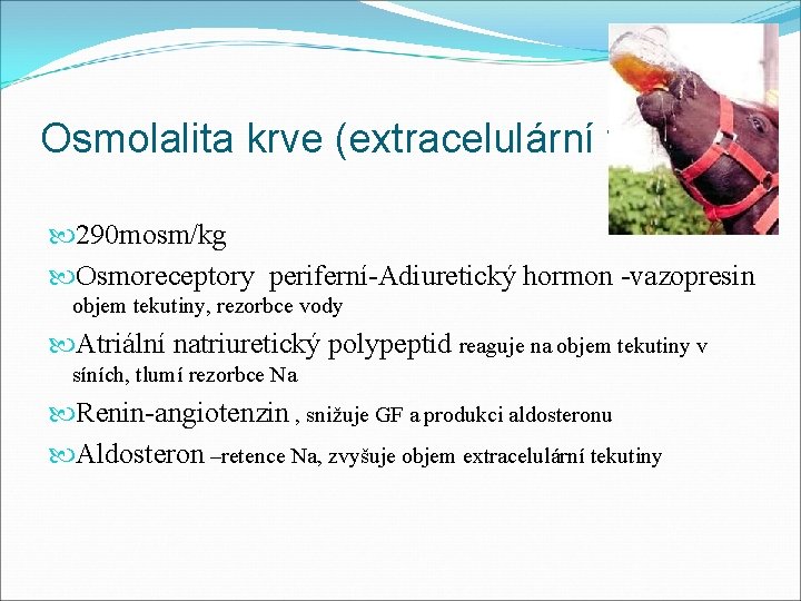 Osmolalita krve (extracelulární tekutiny) 290 mosm/kg Osmoreceptory periferní-Adiuretický hormon -vazopresin objem tekutiny, rezorbce vody