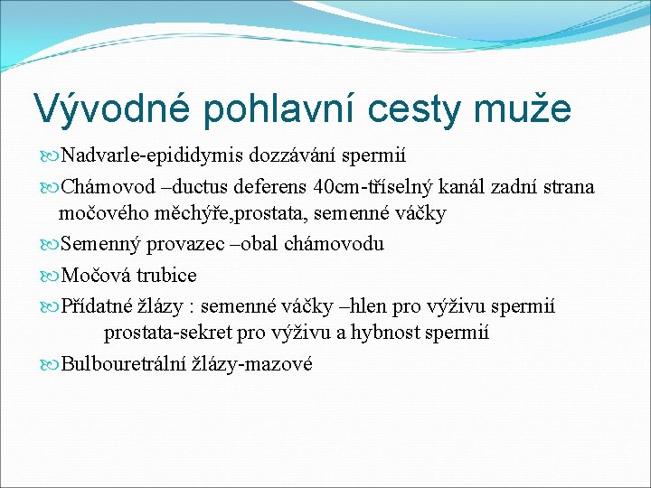 Vývodné pohlavní cesty muže Nadvarle-epididymis dozzávání spermií Chámovod –ductus deferens 40 cm-tříselný kanál zadní