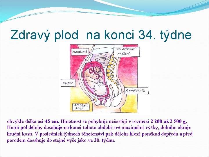 Zdravý plod na konci 34. týdne obvykle délka asi 45 cm. Hmotnost se pohybuje