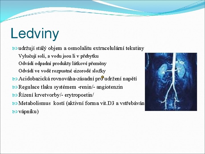 Ledviny udržují stálý objem a osmolalitu extracelulární tekutiny Vylučují soli, a vodu jsou li