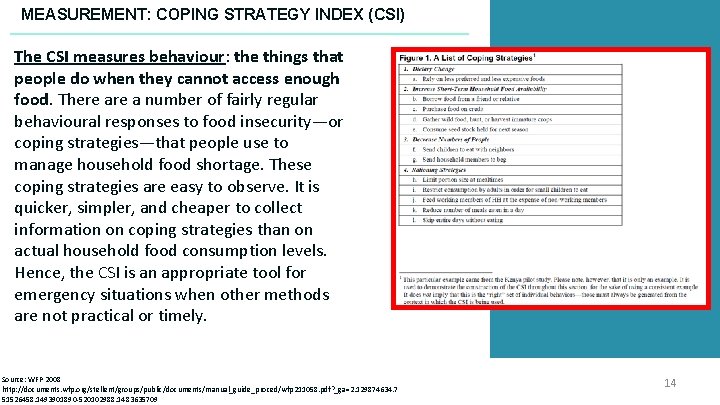 MEASUREMENT: COPING STRATEGY INDEX (CSI) The CSI measures behaviour: the things that people do