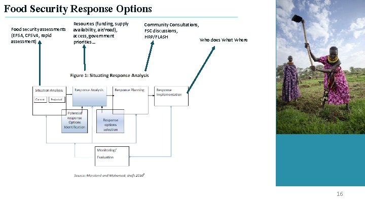 Food Security Response Options Food security assessments (EFSA, CFSVA, rapid assessment) Resources (funding, supply